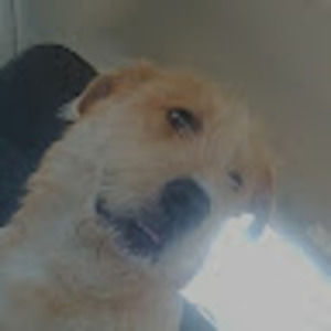 Meet your Posher, Weirdos